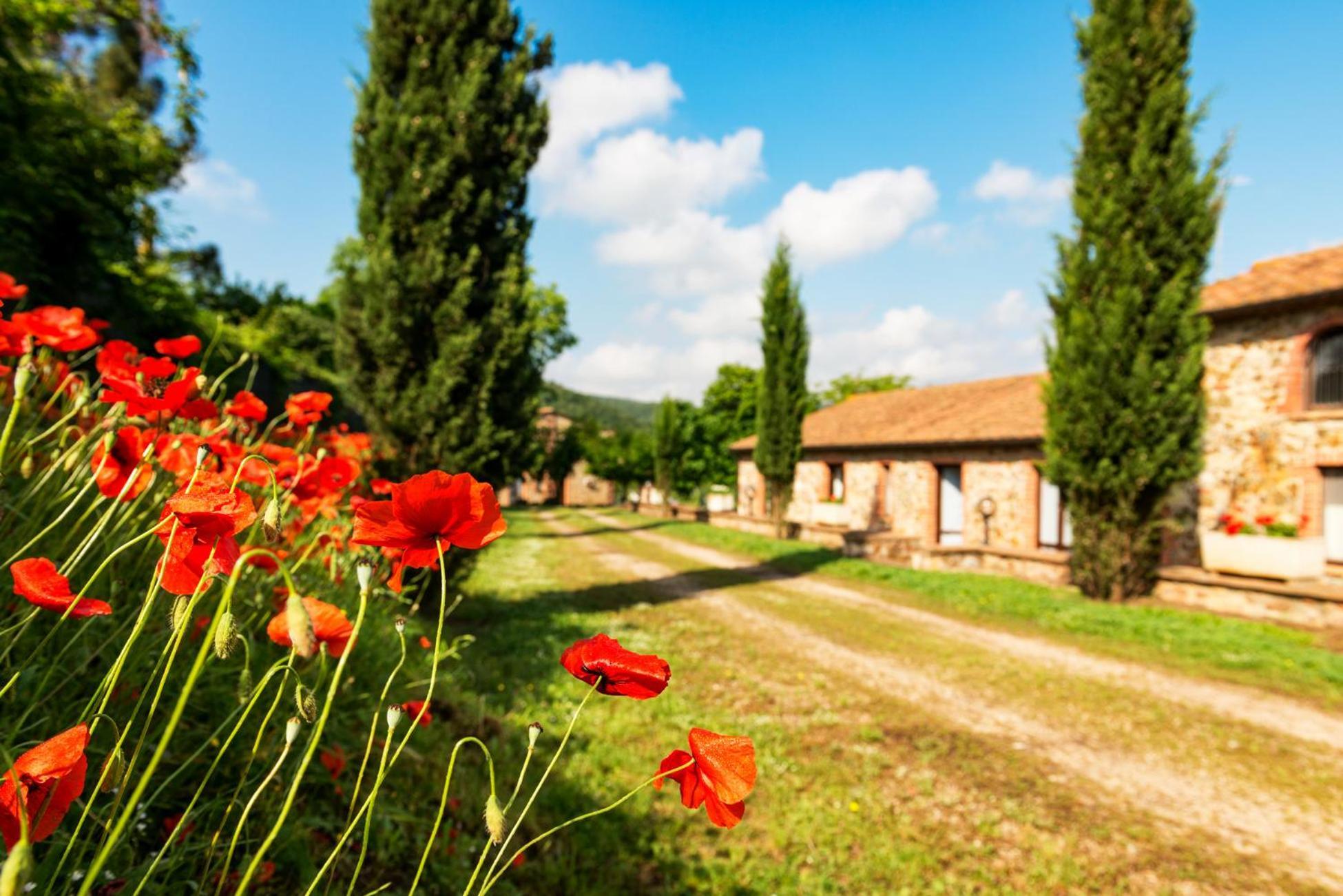 Apartamento Podere Cascatelle&Agriletizia - Cascate Naturali Massa Marittima Exterior foto